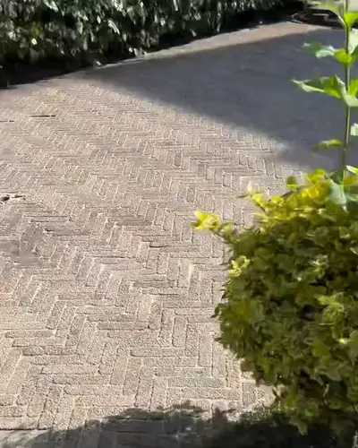 Tuin in Haren na het reinigen
